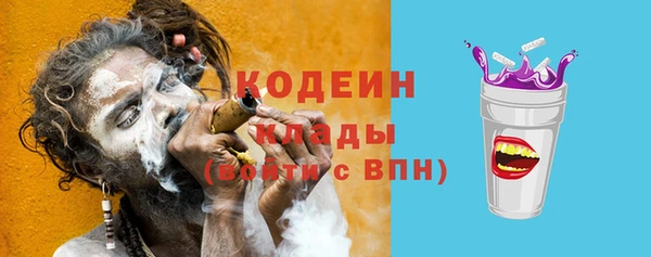 индика Пересвет