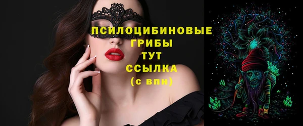 стаф Остров