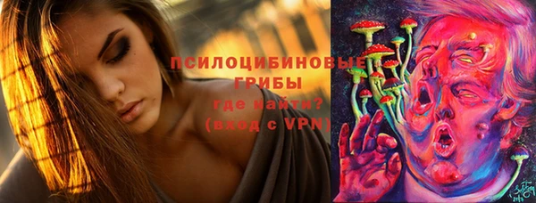 винт Пестово