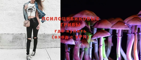 индика Пересвет