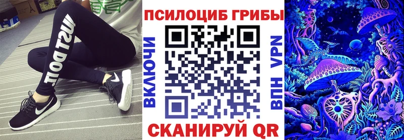 Псилоцибиновые грибы Cubensis  Купить  Томилино